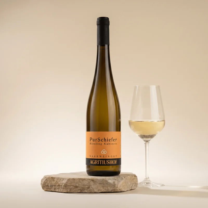 Agritiushof PurSchiefer Riesling Kabinett trocken 2019